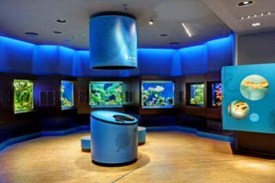 Düsseldorf, Aquazoo