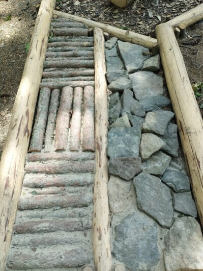 Barfußfpad im Wildgatter