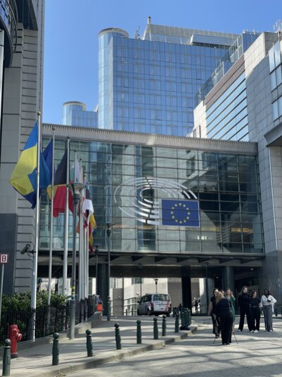 Außenansicht des Europäischen Parlaments, spiegelnde Glasfassaden, davor in der linken Bildhälfte Flaggen Europäischer Länder. An der Fassade ist die Europafahne mit gelben Sternen auf blauem Grund zu sehen.