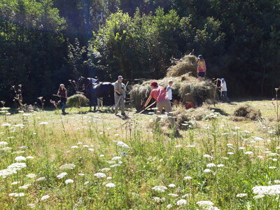Naturschutzhelfer bei der Wiesenpflege