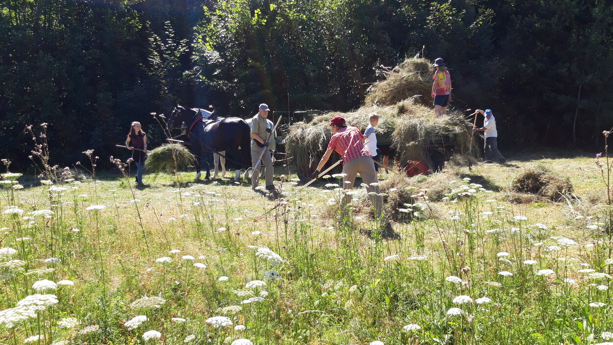 Naturschutzhelfer bei der Wiesenpflege