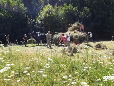 Naturschutzhelfer bei der Wiesenpflege