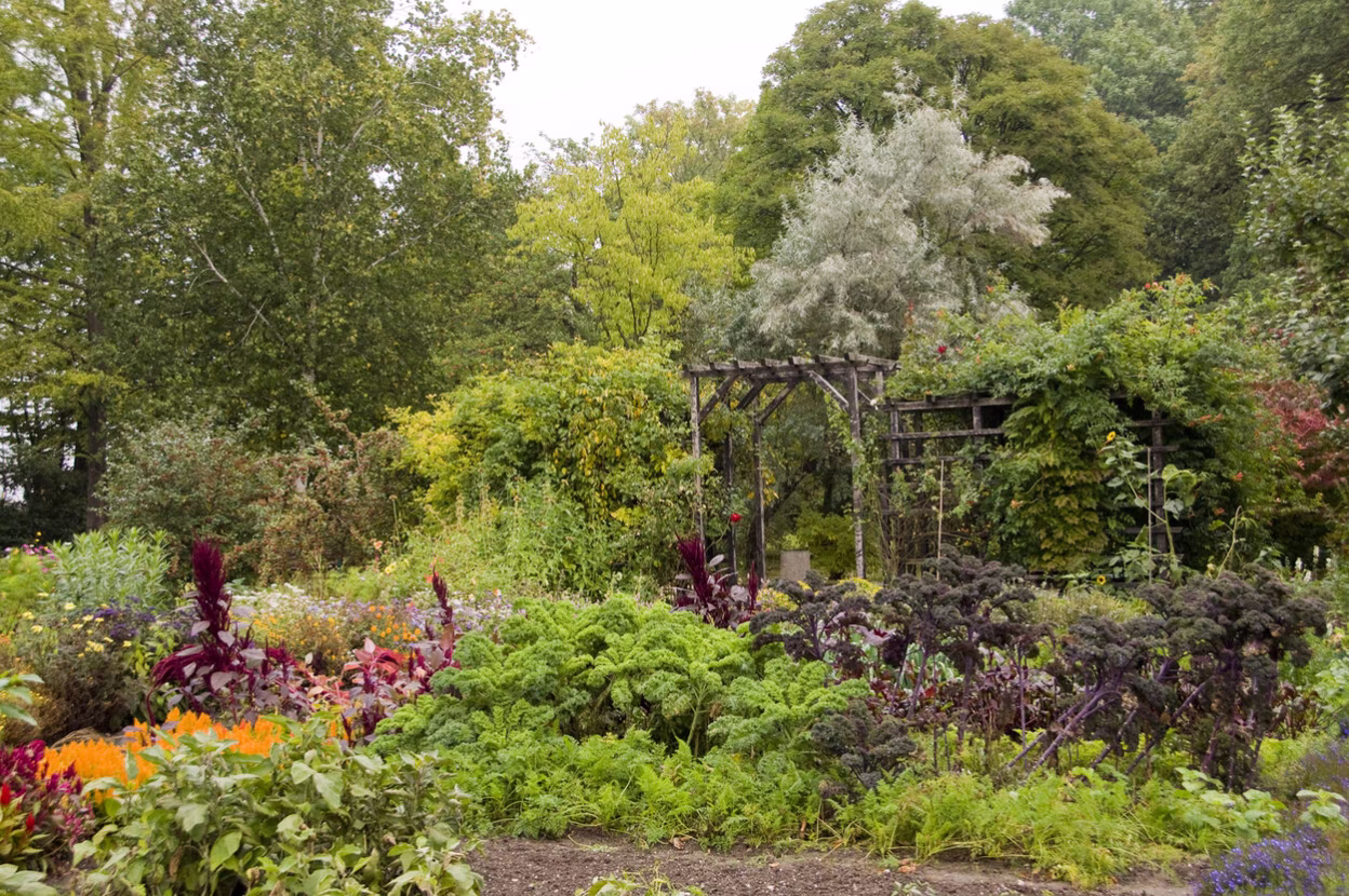 Bauerngarten im Botanischen Garten