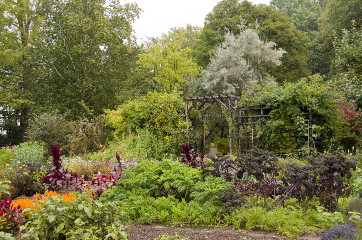 Bauerngarten im Botanischen Garten