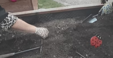 Kinder bei der Bearbeitung eines Beets