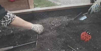 Kinder bei der Bearbeitung eines Beets