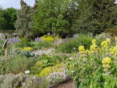 Frühlingsimpression im Schaugarten