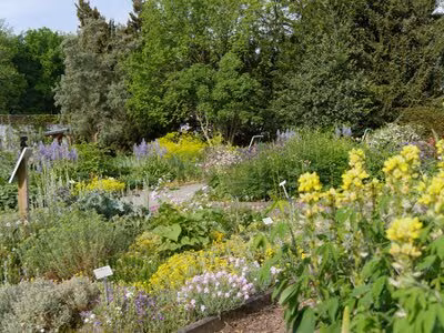 Frühlingsimpression im Schaugarten