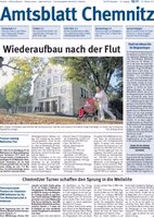 Issue 41/2013