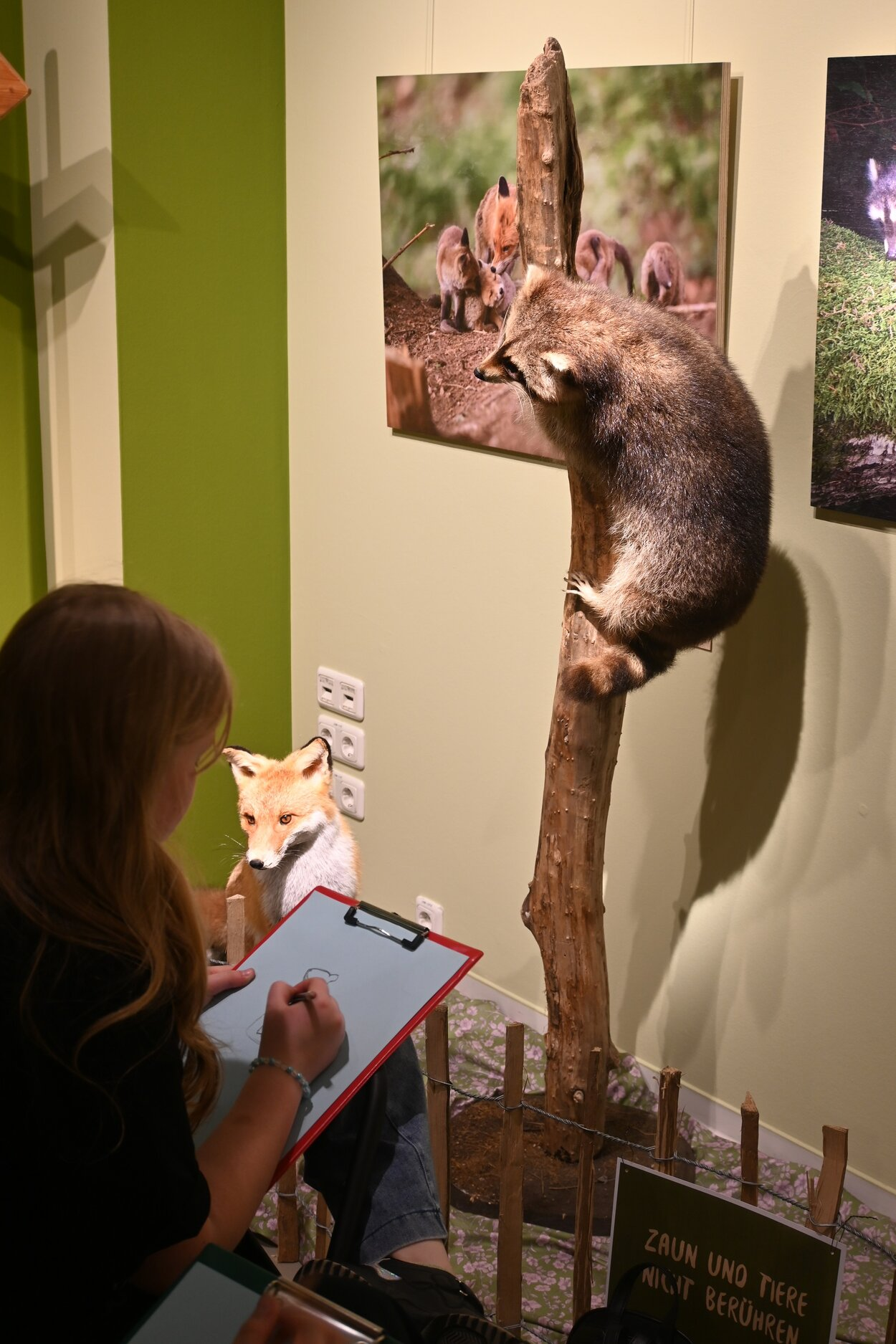 Malen in der Ausstellung: unter Anleitung professioneller Künstler zeichnen die Kinder Portraits unserer wilden Nachbarn aus dem Erzgebirge.