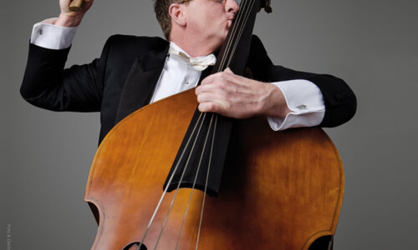 Der Kontrabass