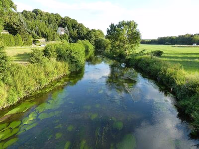 Naturschutzgebiet Chemnitzaue in Draisdorf