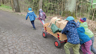 Kinder, die in der Natur Kräuter sammeln