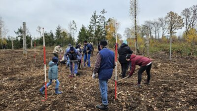 Viele Klaffenbacher haben bei der Baumpflanzaktion im Rödelwald geholfen.