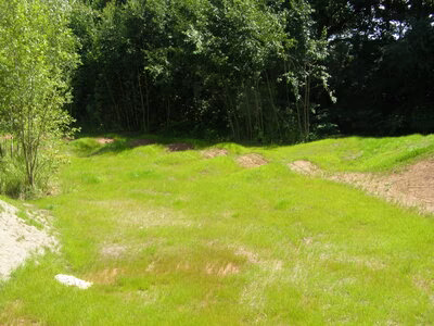 Dirtstrecke Forststraße (Stadtteil Hilbersdorf)