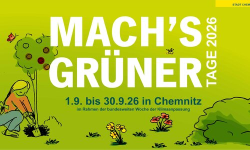 FormenVIELfalt im Verborgenen - die Welt der Pilze