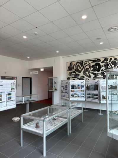 Ausstellung "Der Preis des Glases - Vogelschlag an Glas" im Foyer des Technischen Rathauses
