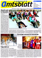 Issue 2/2010