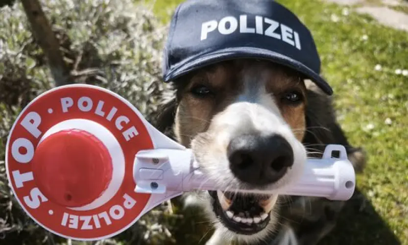 AUSGEBUCHT! Auf der Spur der Diamanten-Diebin