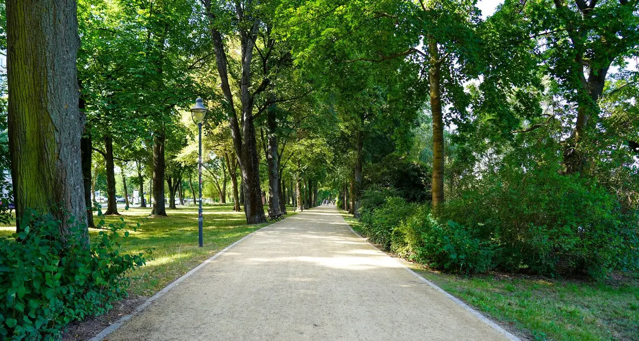 Auf einer Fl&auml;che von insgesamt 500 Metern wurden die Wege in den historischen Schlo&szlig;teichanlagen saniert.
