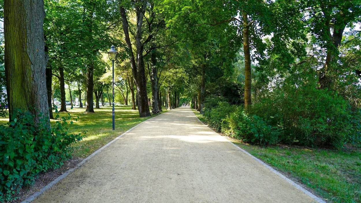 Auf einer Fl&auml;che von insgesamt 500 Metern wurden die Wege in den historischen Schlo&szlig;teichanlagen saniert.