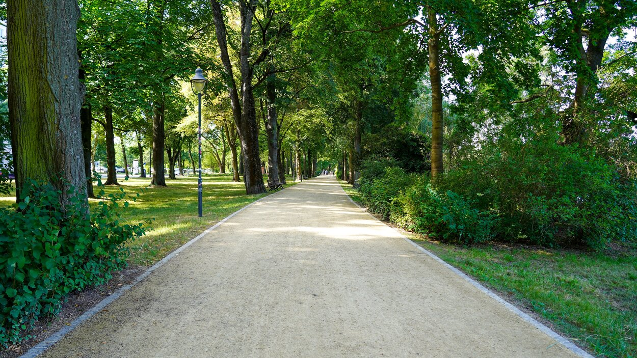 Auf einer Fläche von insgesamt 500 Metern wurden die Wege in den historischen Schloßteichanlagen saniert.