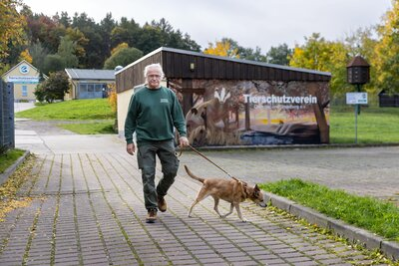 Das Außengelände des Tierheims umfasst mehrere eingezäunte Freilaufbereiche sowie einen Hundeparcours.