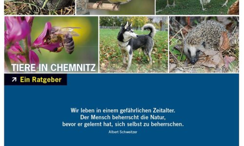 Zvířata v Chemnitz