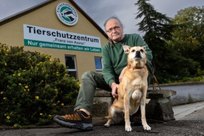 Das Tierheim Am Pfarrhübel nimmt seit Ende der 90er Jahre Tiere auf.