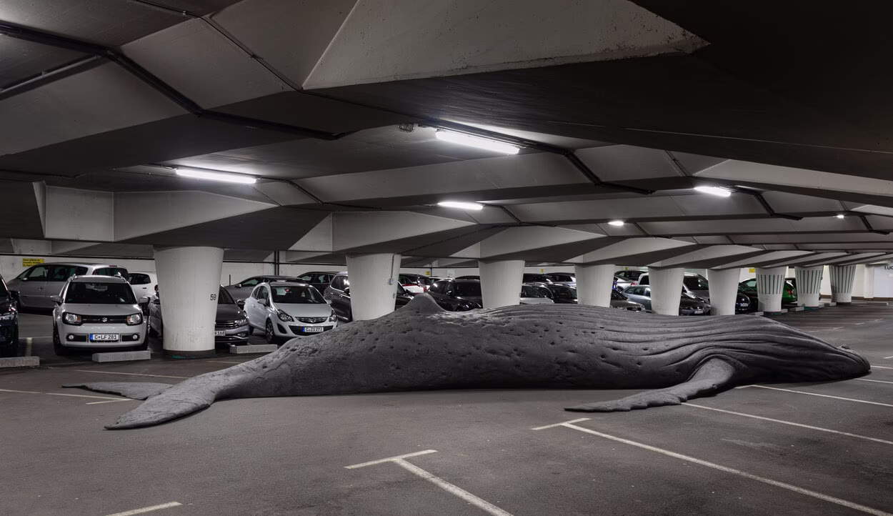 Die Ausstellung » New Ecologies. Gegenwarten II« brachte über 20 Installationen in die Chemnitzer Innenstadt und thematisierte die Klimakrise. Die Werke luden zum Nachdenken und Diskutieren ein.