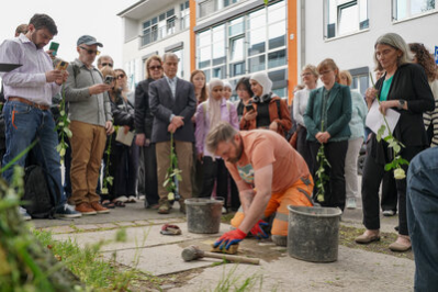 Ein Bauarbeiter setzt die Stolpersteine und wischt sie mit einem Schwamm sorgfältig ab; Besucherinnen und Besucher blicken auf die Arbeiten hinab.