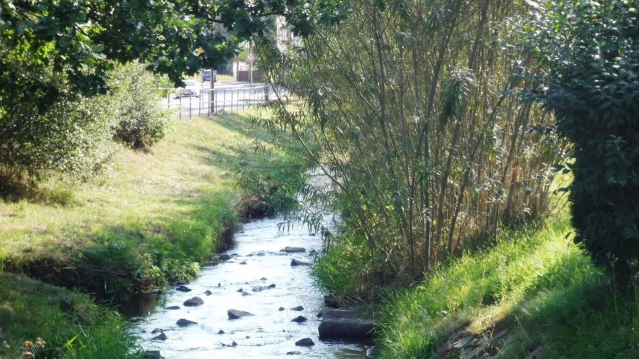 Gewässerstreifen