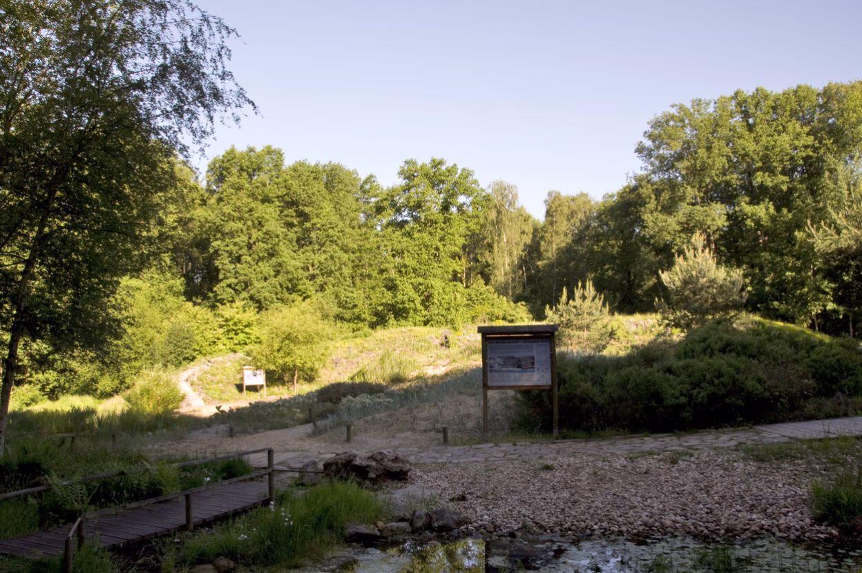 Düne und Steppenhügel im Botanischen Garten