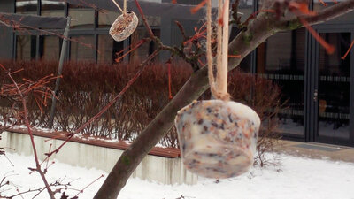 Vogelfutter an einem Baum im Winter