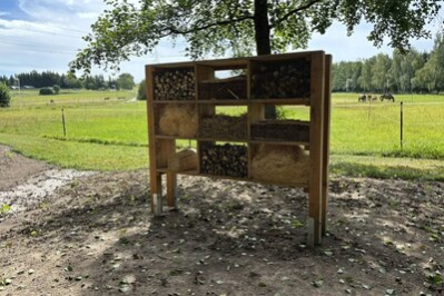 Ein Insektenhotel lockt Bienen, Hummeln und Käfer an.