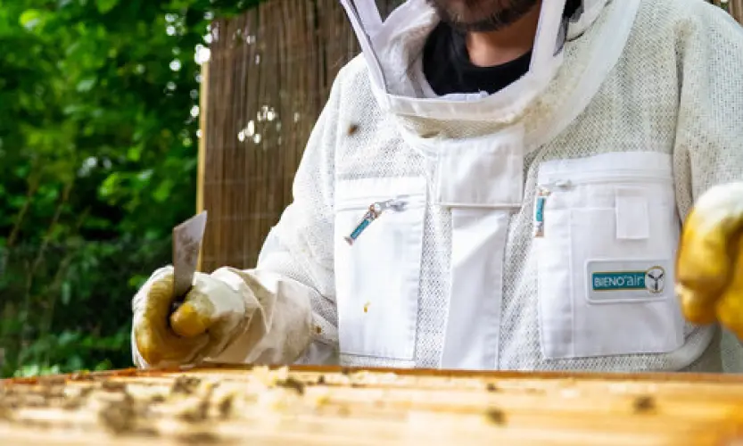 Mit dem Imker Marcus Frenzel durch das Bienenjahr
