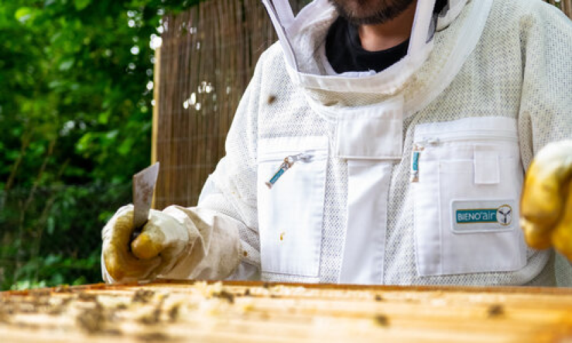 Mit dem Imker Marcus Frenzel durch das Bienenjahr