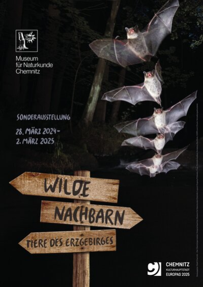 Plakat zur Ausstellung „Wilde Nachbarn“ – Wasserfledermäuse