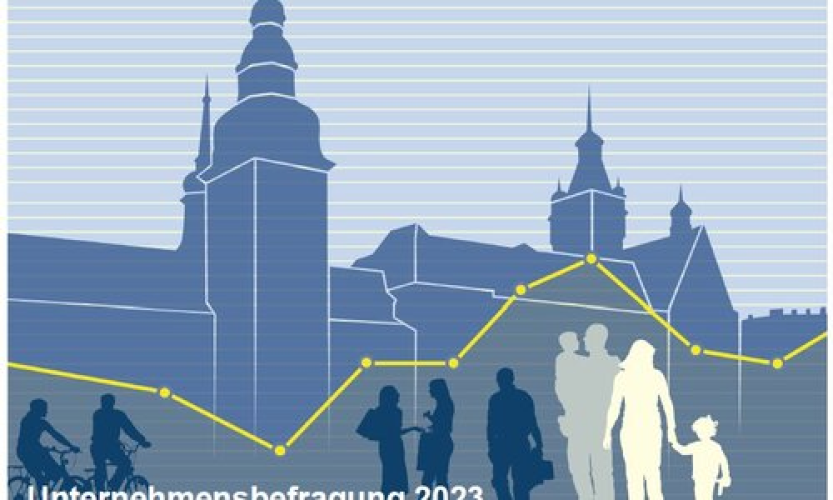 Company survey 2023