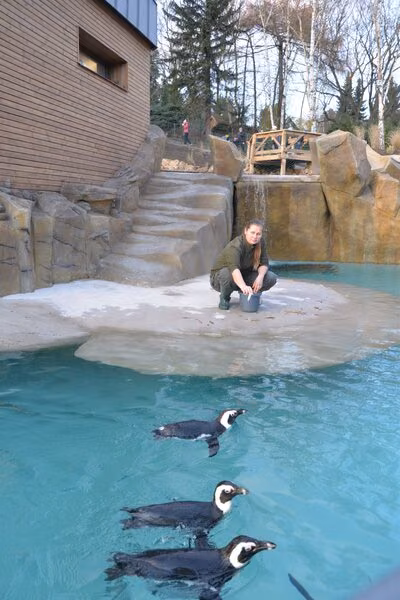 Usti nad Labem, Pinguine im Zoo