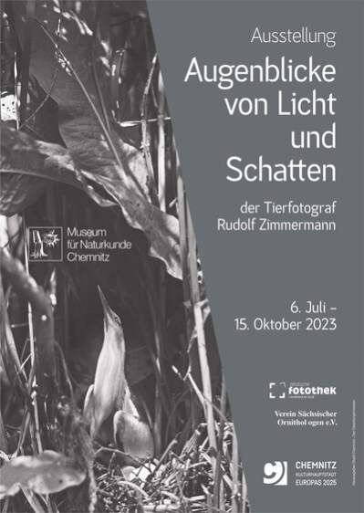 Ausstellungsplakat „Augenblicke von Licht und Schatten“, Gestaltung: Evgeniy Potievsky