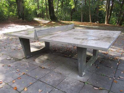 Spielplatz Annaberger Str. 487 - Am Johanneum, Tischtennisplatte