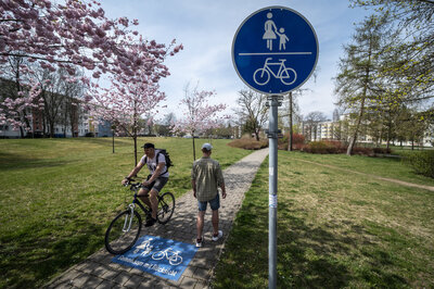 Die Markierungen sind auf der Modellroute gut sichtbar aufgebracht worden.