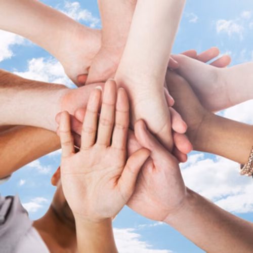 Support for voluntary work in the city of Chemnitz: Association survey on events and offers to support voluntary work
