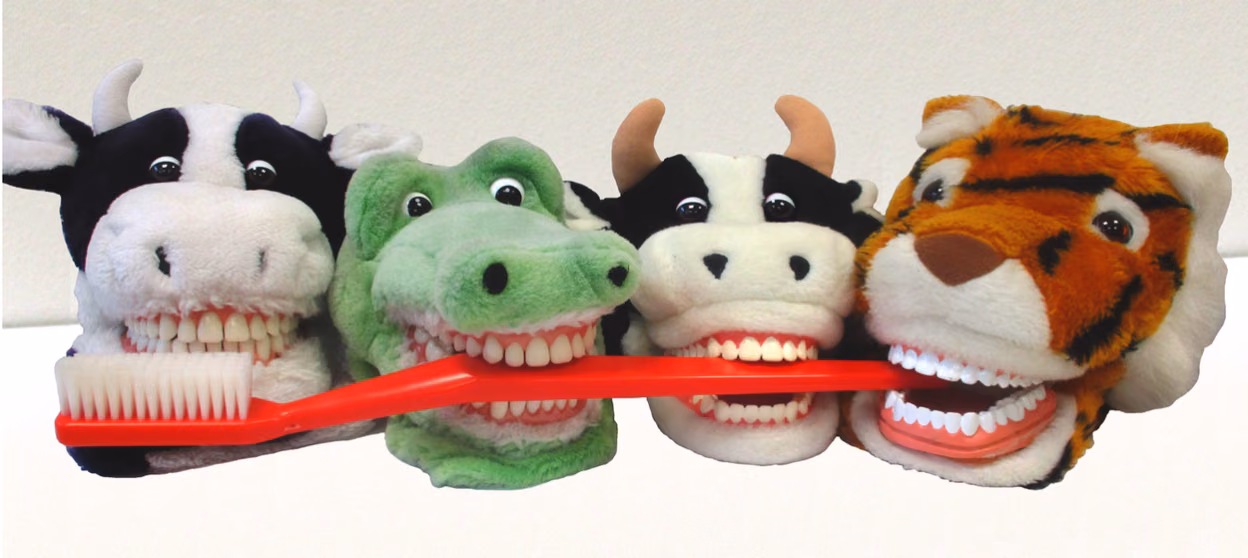 Material zur Ausleihe beim Amt für Gesundheit und Prävention: Handpuppen mit Zahnbürste