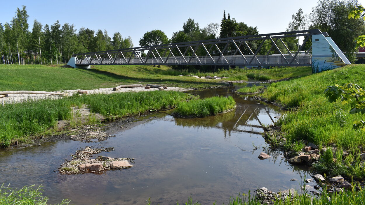 Flussaue mit weitläufiger Wiesenlandschaft, im Hintergrund eine Fußgängerbrücke