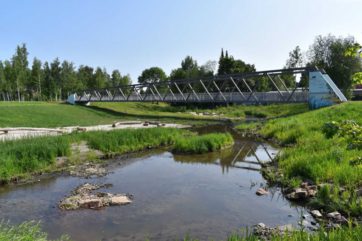 Flussaue mit weitläufiger Wiesenlandschaft, im Hintergrund eine Fußgängerbrücke