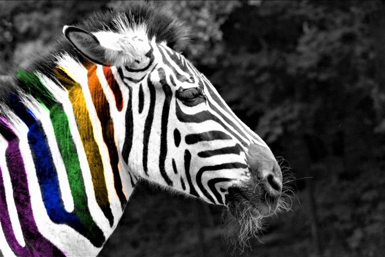 "Homosexualität im Tierreich" - spezielle Führung im Tierpark Chemnitz