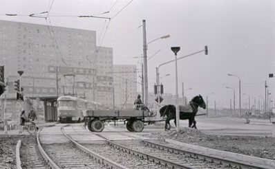 Tradition und industrieller Wohnungsbau im Stadtteil Morgenleite 1978.