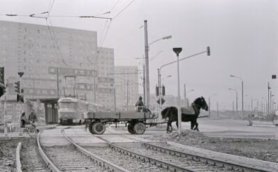 Tradition und industrieller Wohnungsbau im Stadtteil Morgenleite 1978.